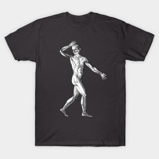 Vintage Human Anatomy Science, Muscles of the Male Body T-Shirt